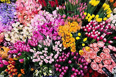 《星之卡比：飞天骑士》专场直面会明晚9点举行