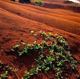 国产独立游戏《三伏》试玩版3月21日正式上线